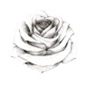 Meet your Posher, Isabelle